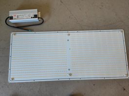 LED-Pflanzenleuchten Platine