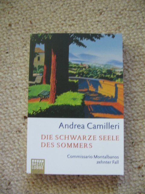 Die Geheimnisvollen Gesellen Des Sommers Sommer Schwarze Kafer Artenvielfalt Und Uberlebensstrategienfeed