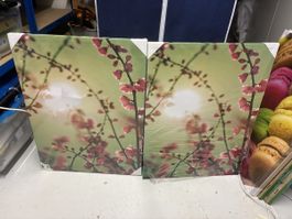 Set of 2 Floral Canvas Prints, 60x80cm, Spring Decor