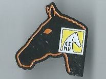 Plaquettes & Badges: Pferdekopf, Pin – D'occasion à Zürich par t24_de