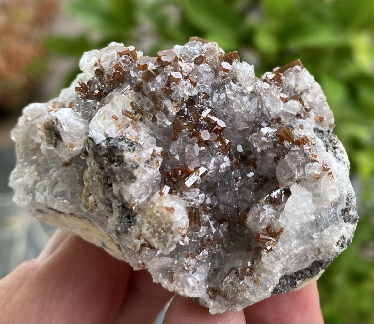 Mineralien & Heilsteine: Top Vanadinit Stufe Mexiko  – Gebraucht aus Selzach von 321compac 9