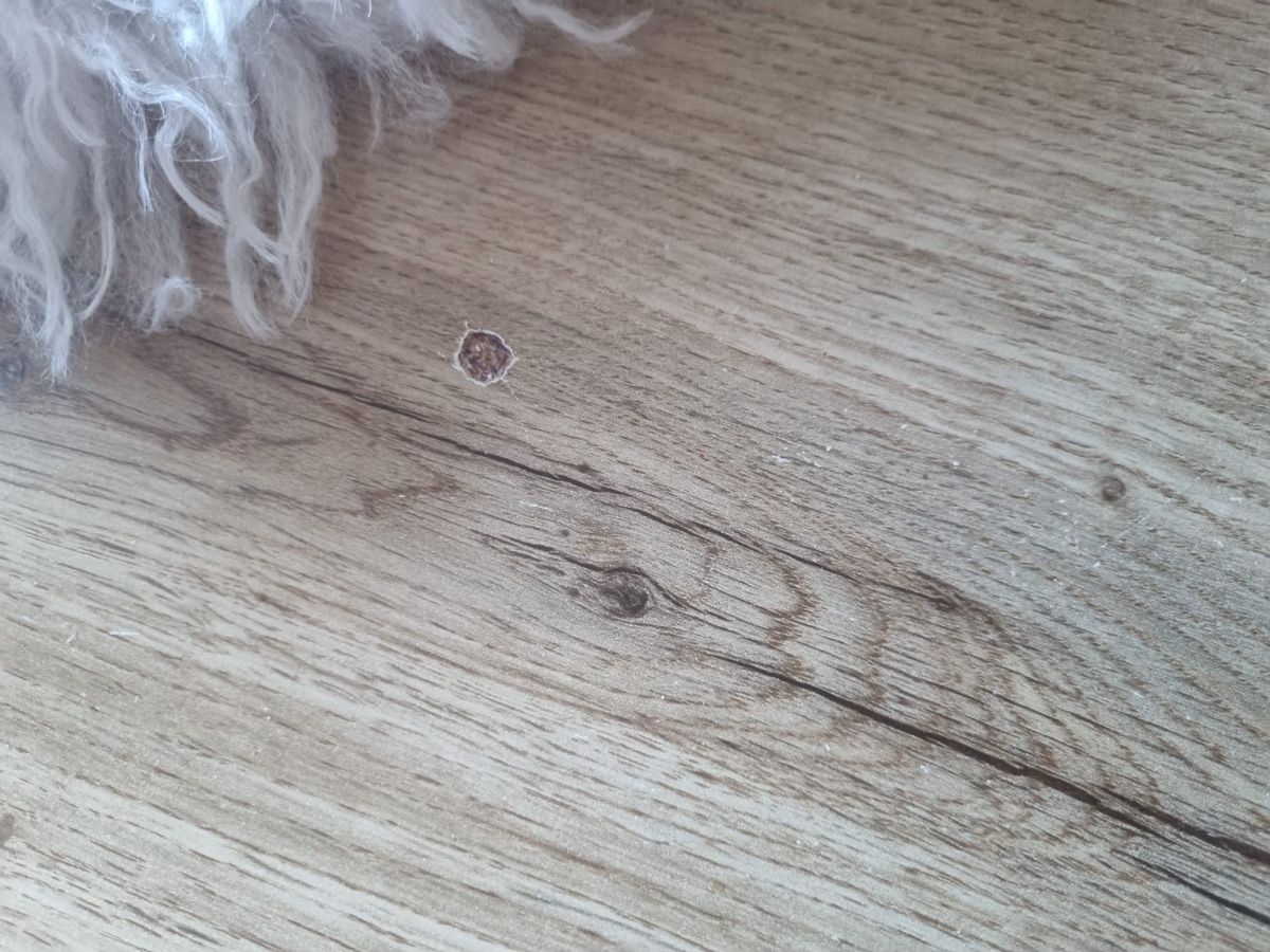 Tables: Couch Tisch – D'occasion à Adliswil par rossoelmare 3