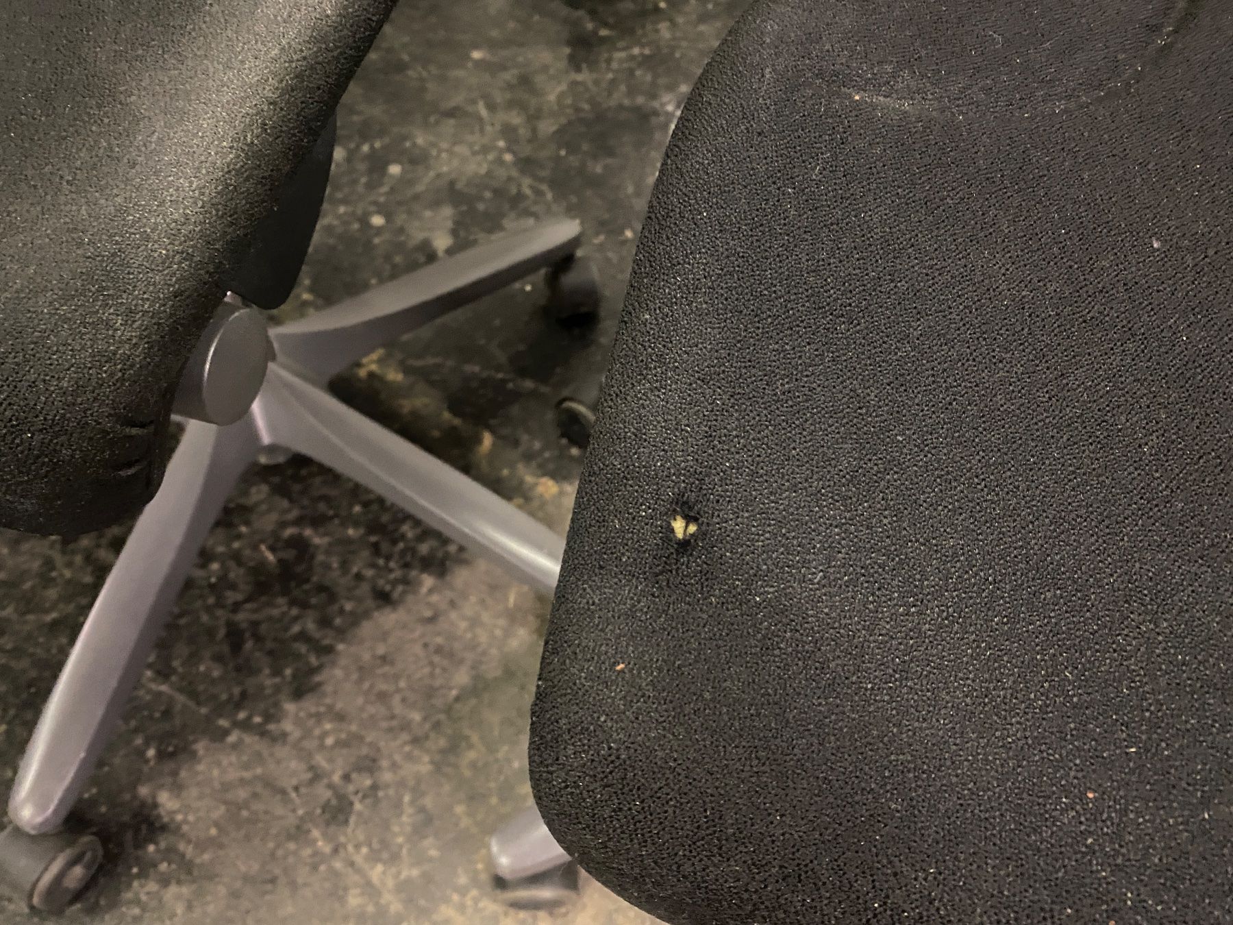 Giroflex Sedie: Posten Giroflex Bürostühle ab 1.- – Usato da Wabern venduto da HK-Design 3