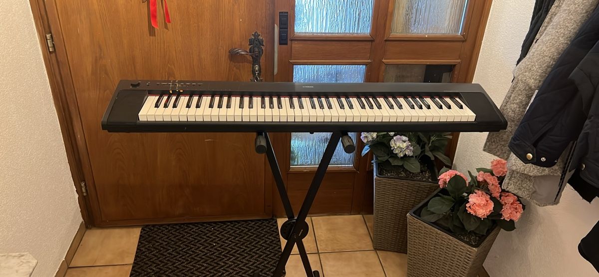 Yamaha Strumenti musicali: Yamaha Piaggero NP-31 keyboard mit ständer – Nuovo (secondo la descrizione) da Bern venduto da eleitscha