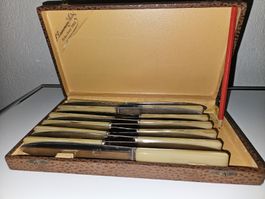 12 Vintage Tafelmesser im Etui, Inox,Horngriffe Frankreich