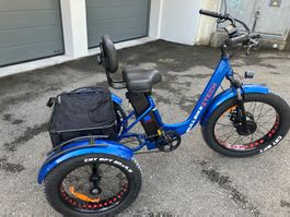 BULLBIKR TOKIO E-Dreirad 48v 13 Ah LYTHIUM 250 W725KM/h