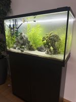 Aquarium zu verkaufen (126 Liter) 