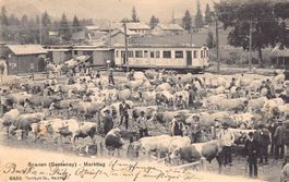 Saanen Viehverlad ab Markt in MOB Bahn