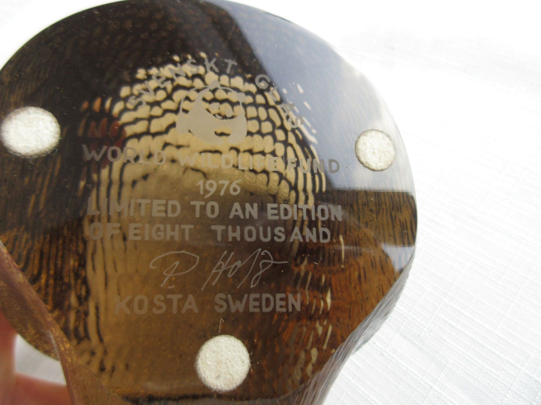 Kosta Boda Statuette: Kosta Boda Igel, WWF 1976, Paul Hoff – Usato da Binningen venduto da Oldfashion 5