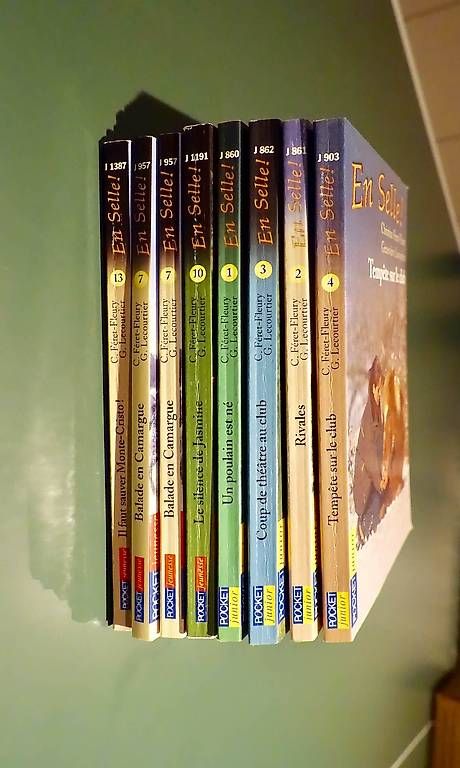 Libri: Pocket junior: En selle – Nuovo (secondo la descrizione) da Genève venduto da fto_sz8d