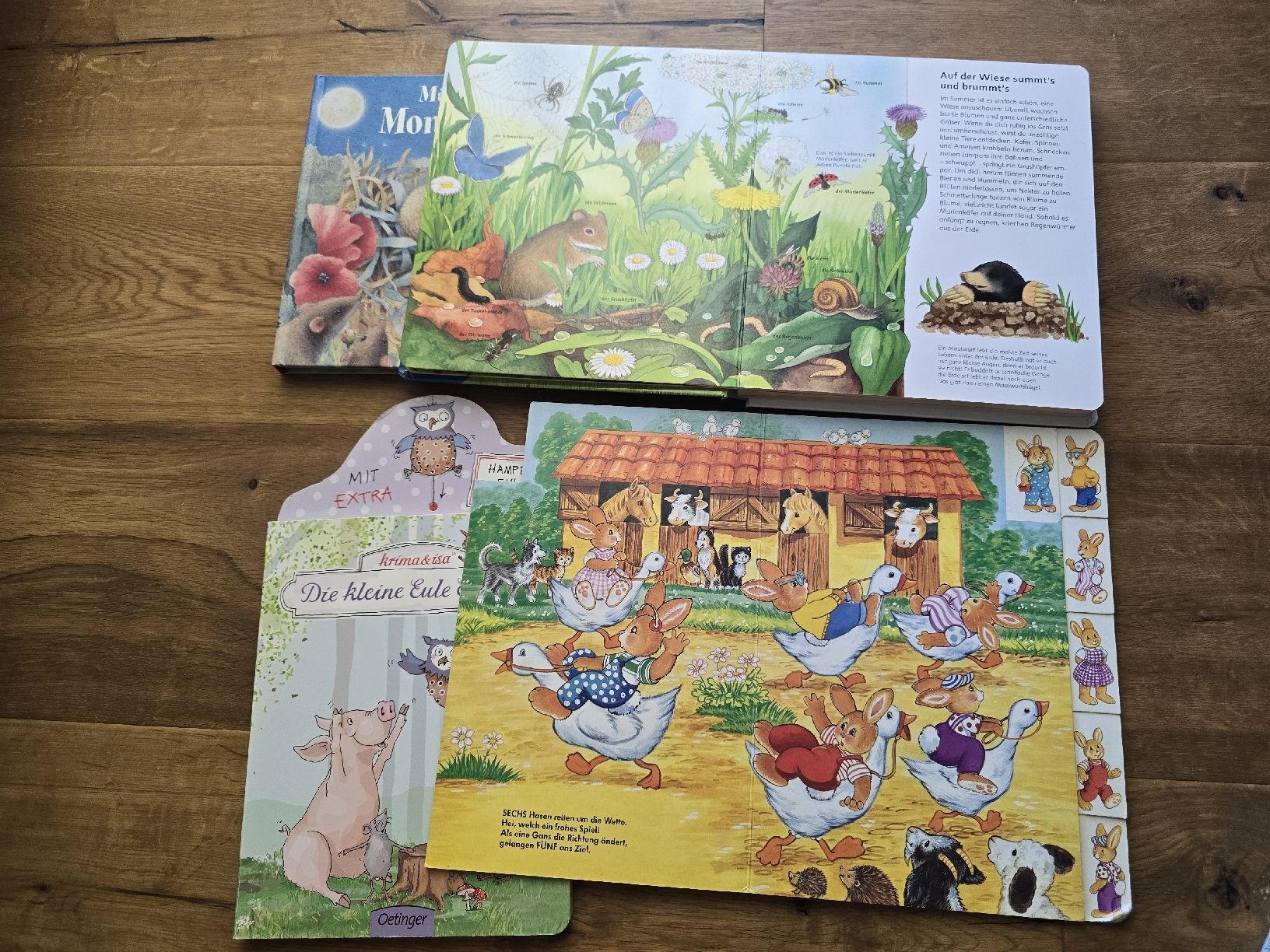 Libri: Kinderbuch Set 6 Stck set  guter Zustand – Usato da Wittenbach venduto da Tigerlili 3