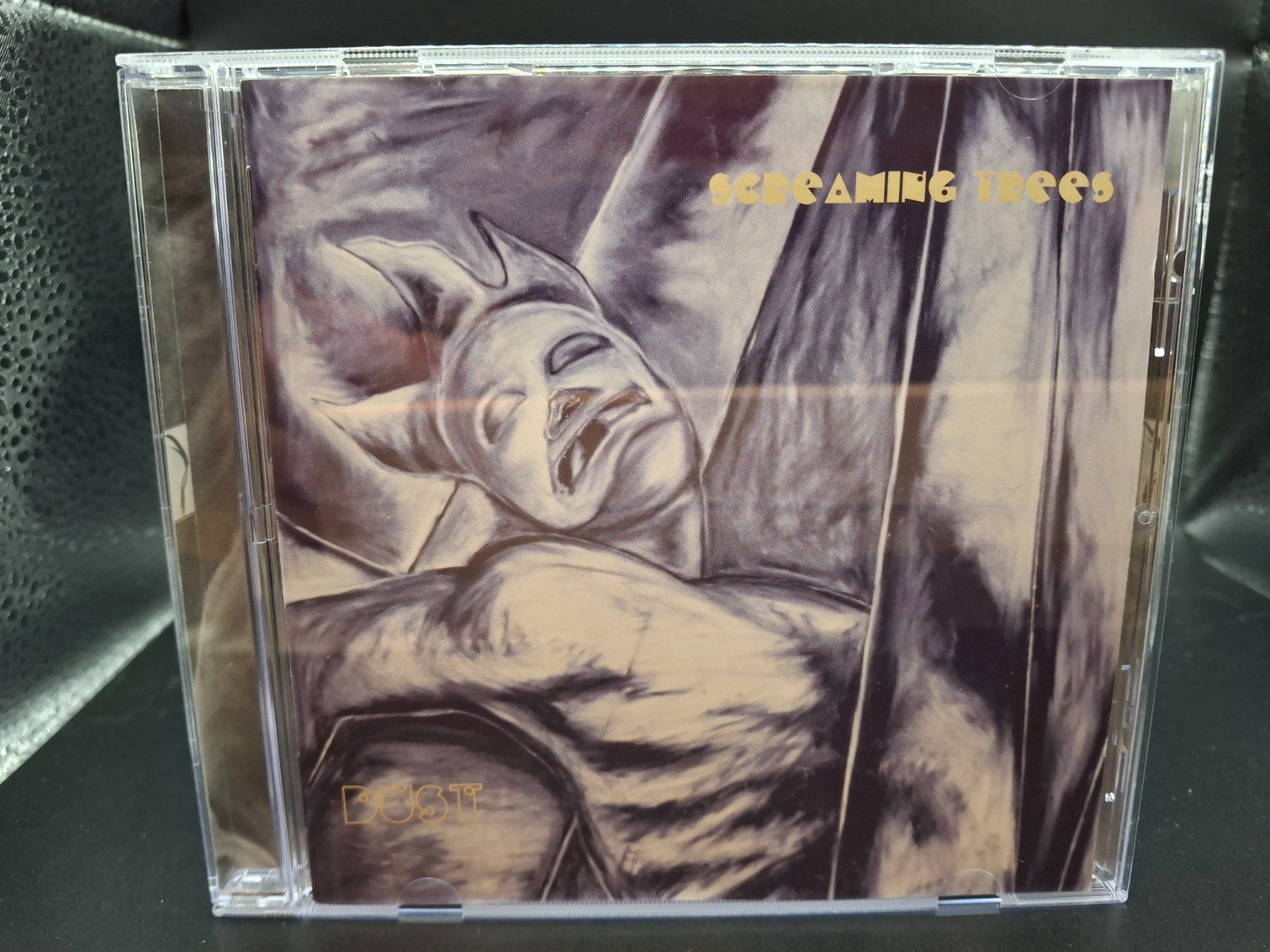 CD: Screaming Trees – Dust – Usato da St.Gallen venduto da jalamusic
