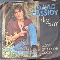 Vinyl-Single David Cassidy - Day Dream