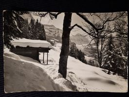 WINTERLANDSCHAFT BEI WENGEN - MIT MANGEL