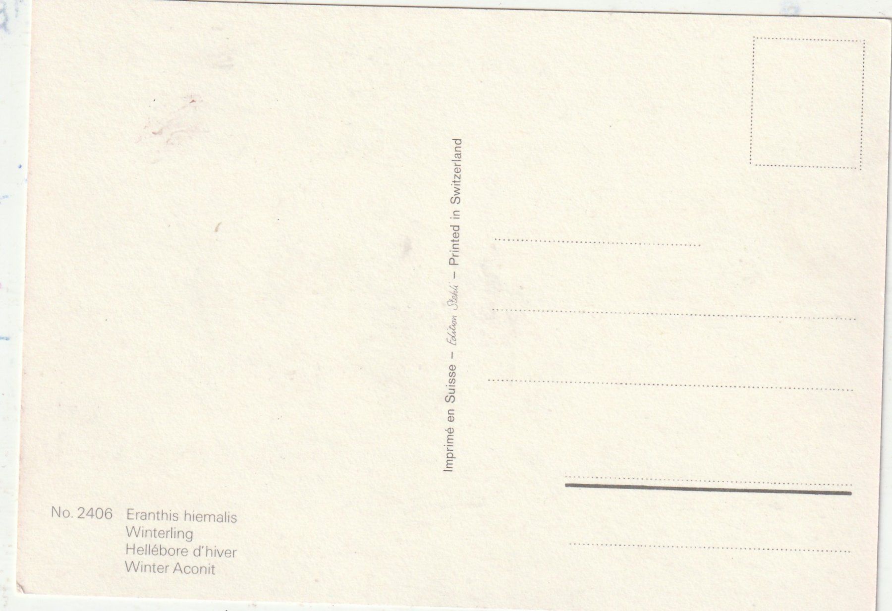 Cartoline postali: Blumenkarte – Usato da Lumbrein venduto da made02 1