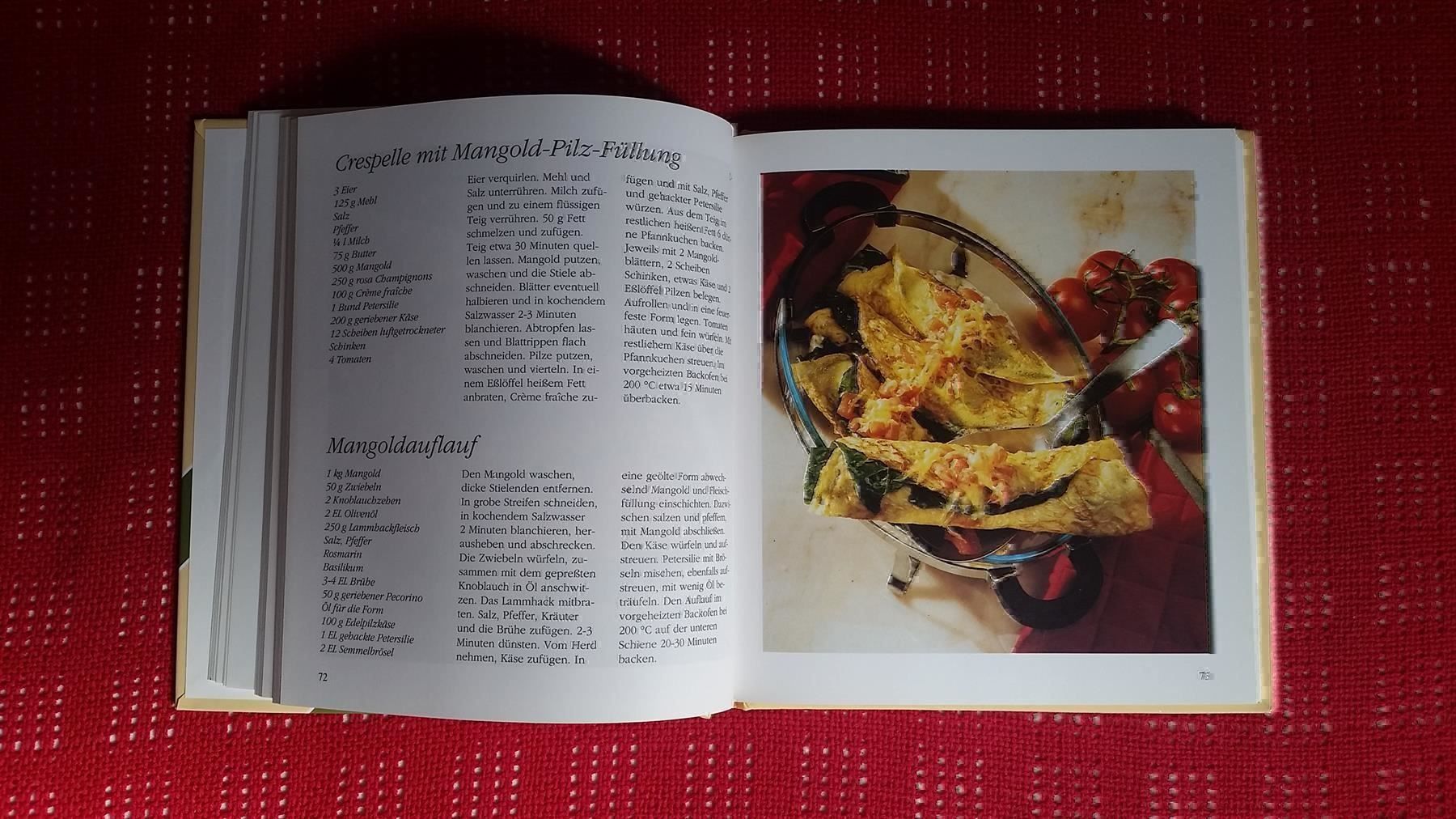 Libri: Gratins & Aufläufe – Usato da Winterberg ZH venduto da Gemini63 2