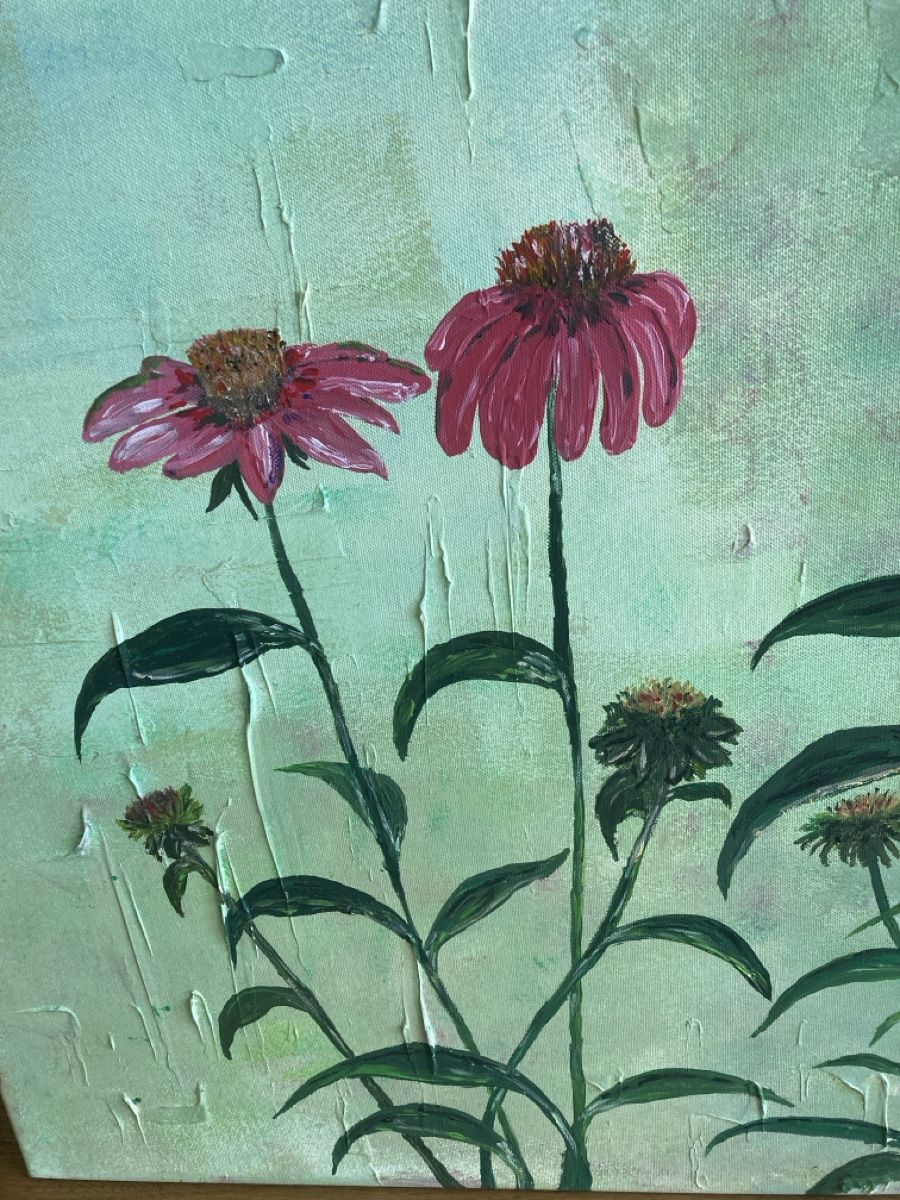 Dipinti: Acrylbild Echinacea – Nuovo (secondo la descrizione) da Winkel venduto da soblu01012 4