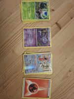 30 carte pokemon communes et peu communes 2015 FR