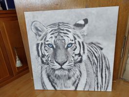 Tolles Tiger Leinwandbild - wie neu