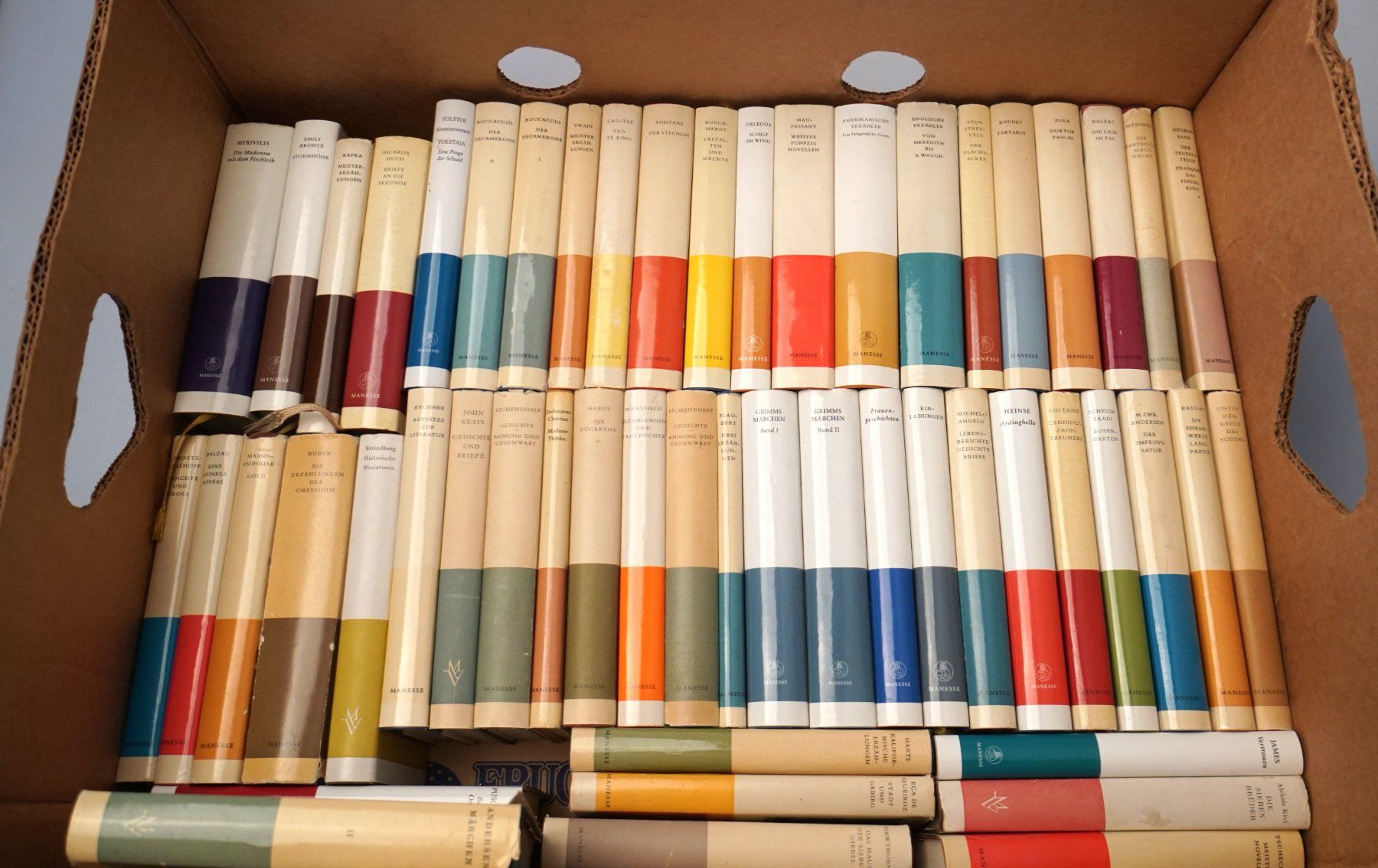 Libri: Manesse Bücher-Sammlung (54St.) – Usato da Volketswil venduto da brockipfannenstil 2