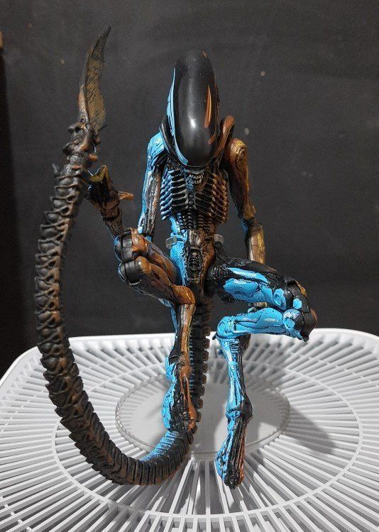 Figuren: Neu/OVP Xenomorph Alien 3 multicolor Figure - 18cm – Neu (gemäss Beschreibung) aus Glattbrugg von  8