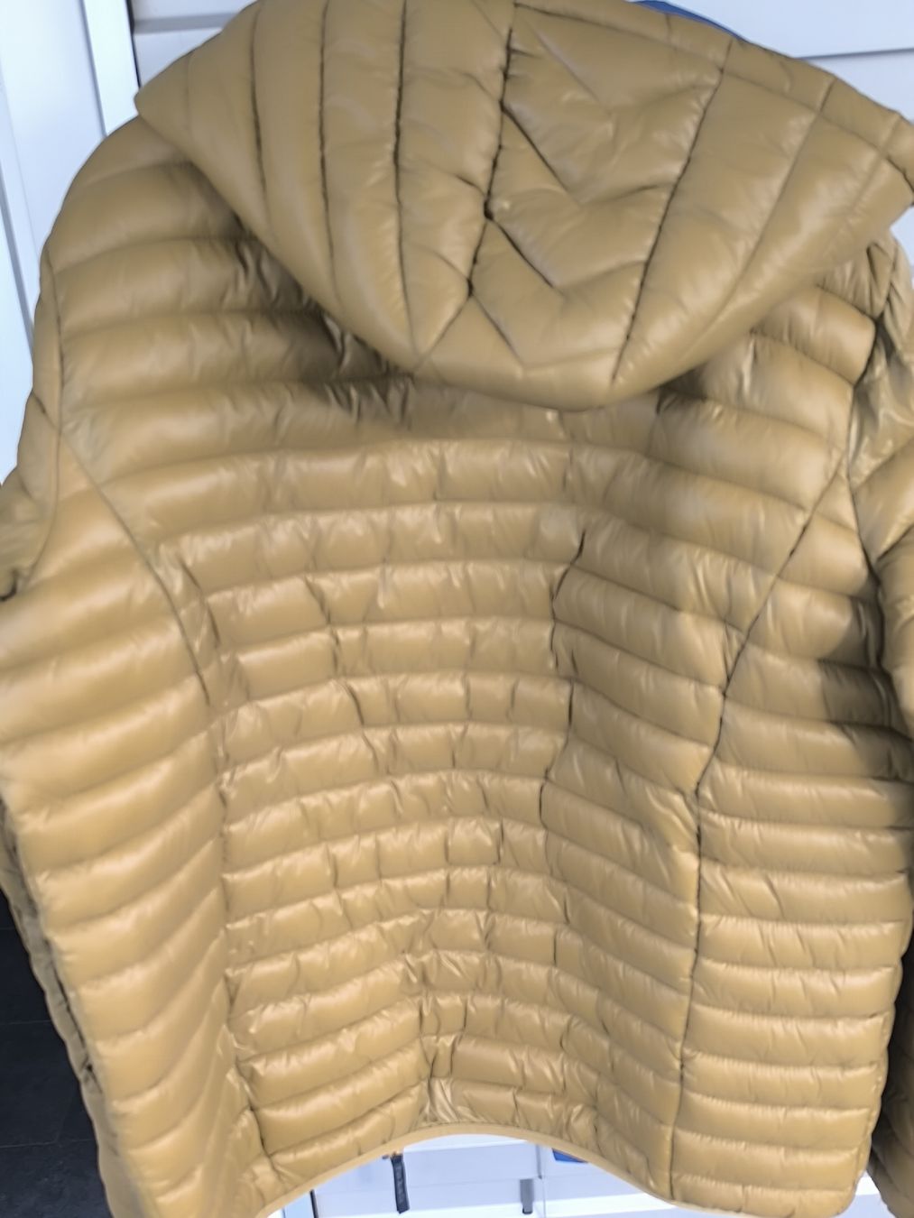 Pepe Jeans Giacche: Jacke Peppe Jeans  – Nuovo (secondo la descrizione) da Oftringen venduto da Lejaleja 1