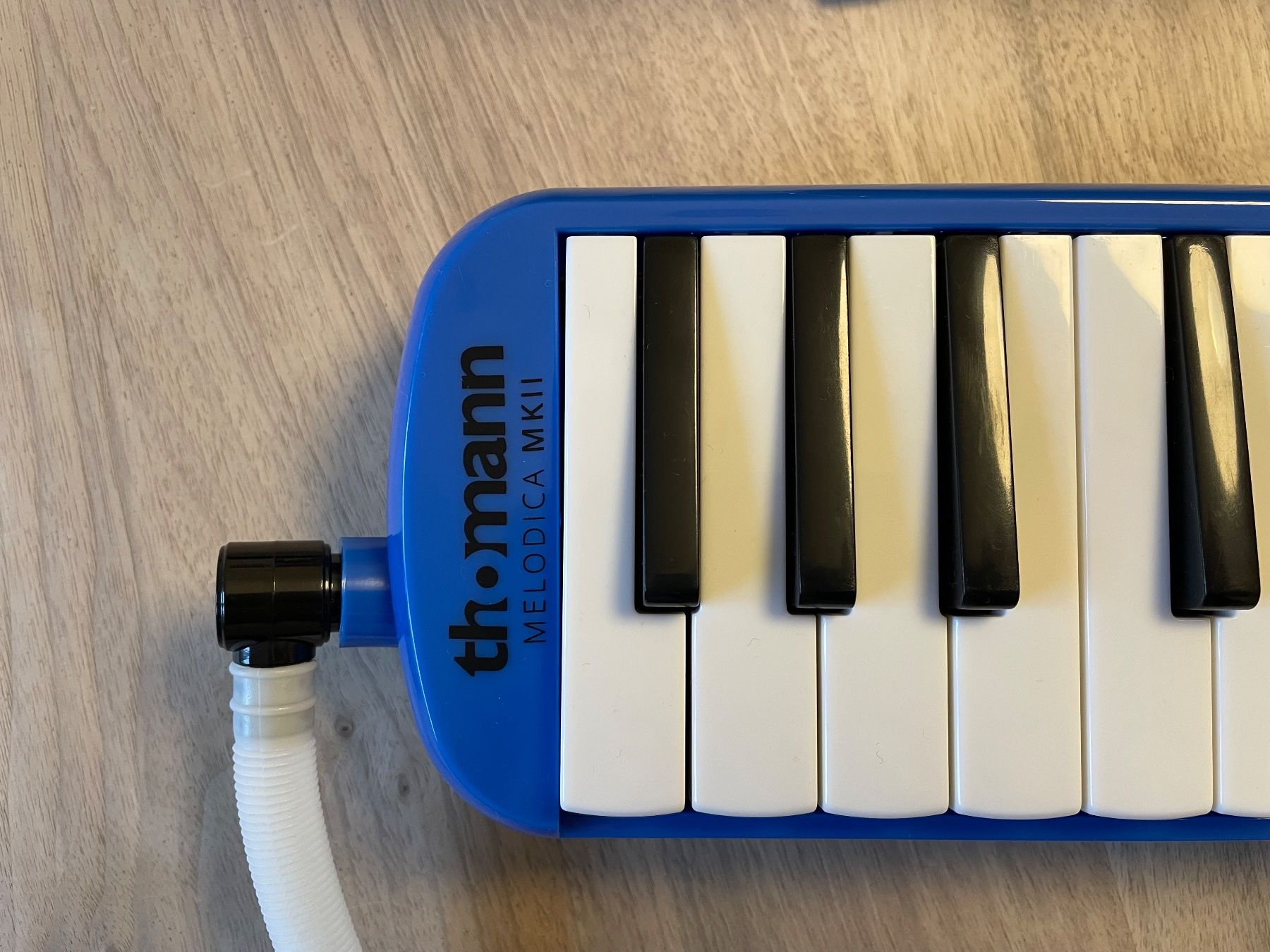 Thomann Strumenti musicali: Melodica MKII – Usato da Zürich venduto da Cruti 2