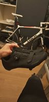 Rennrad Carbon Trek