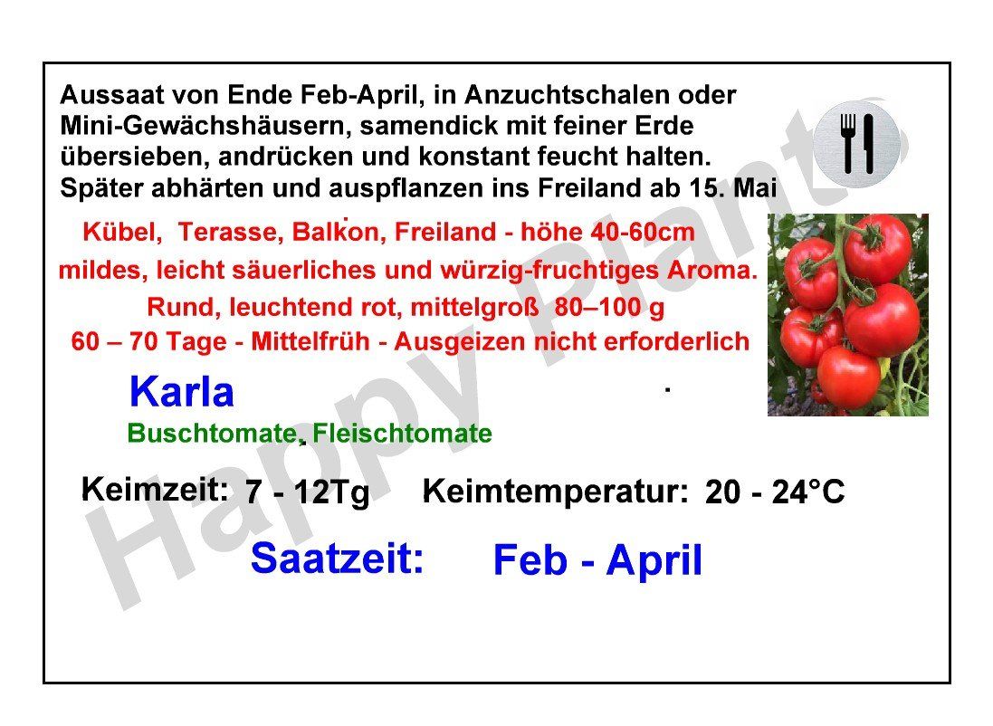 Piante & sementi: Karla - Buschtomate, Fleischtomate - 15 Samen – Nuovo e nell'imballaggio originale da Sumiswald venduto da Cham14559 2