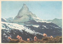 Zermatt (VS) – Matterhorn – Le Cervin G Pro Infirmis