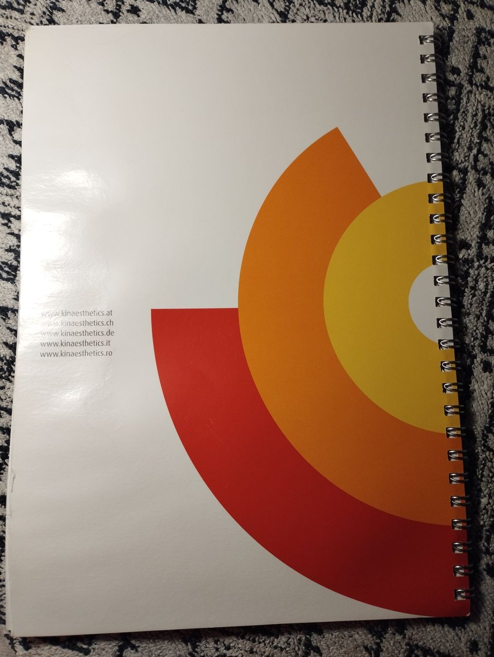 Libri: Kinästetics-Konzeptsystem, Porto 2 – Usato da Ostermundigen venduto da Dinge1 1