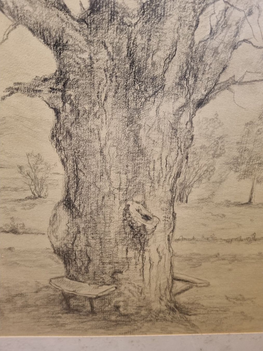 Gemälde: Zeichnung Baum Bleistift gerahmt – Gebraucht aus Schaffhausen von Leveron13 8