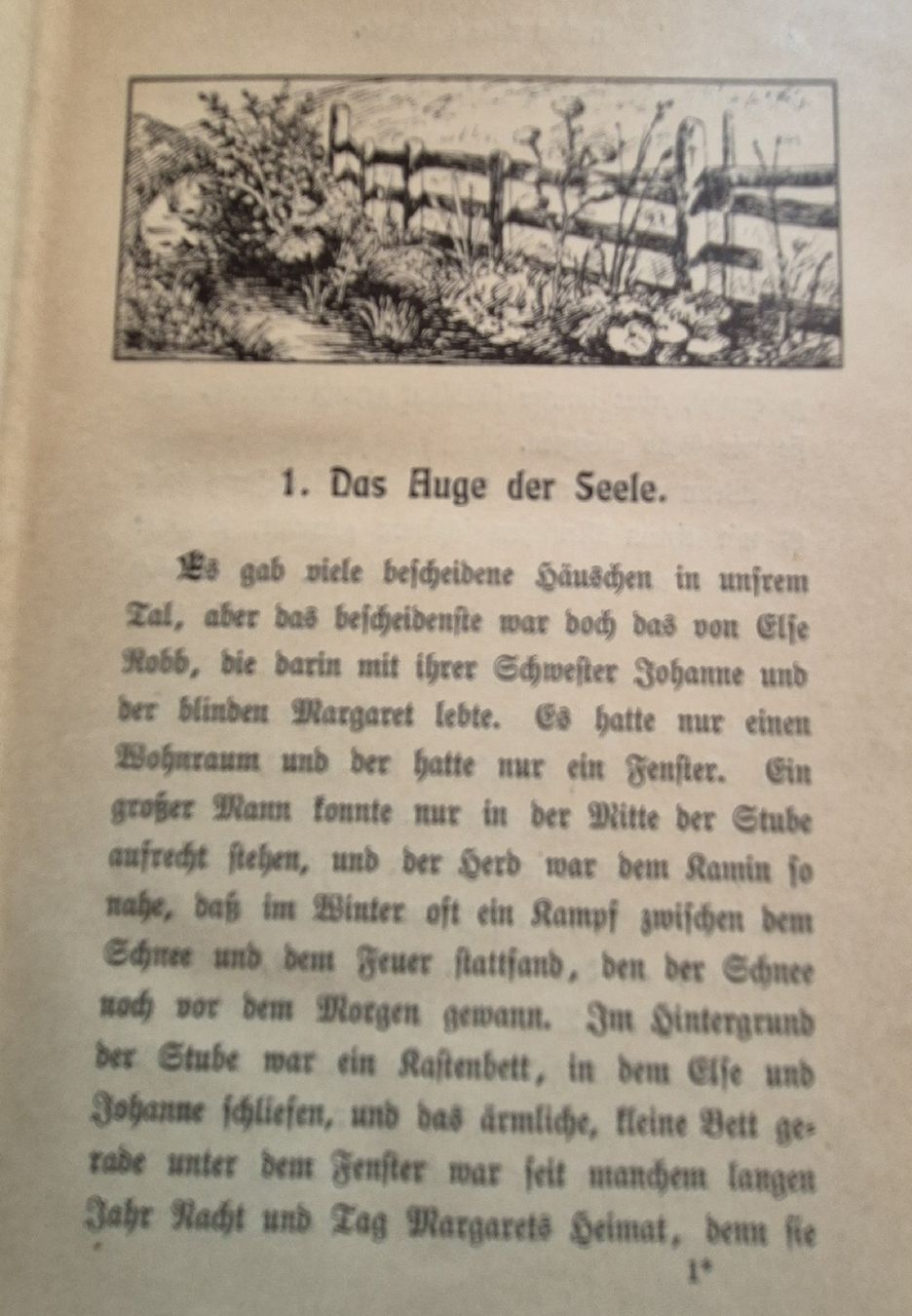 Libri: Ernstes und Heiteres, Jan Maclaren, 1904 – Usato da Zeiningen venduto da Carettacaretta69 2
