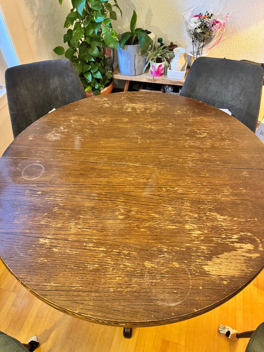 Tische: Table à manger extensible – Gebraucht aus Genève von mar_c5vq 3