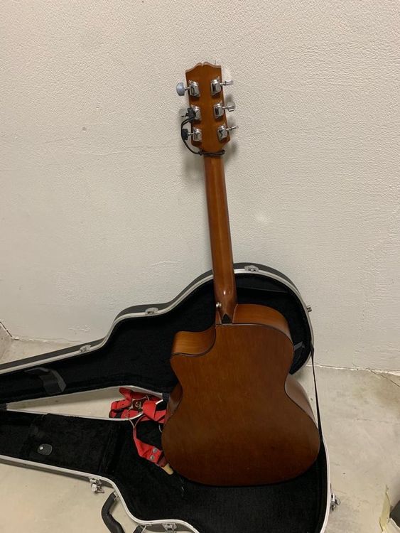SX Custom Guitars | Kaufen auf Ricardo