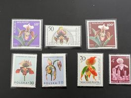Orchideen diverse Länder** Luxus (B214)