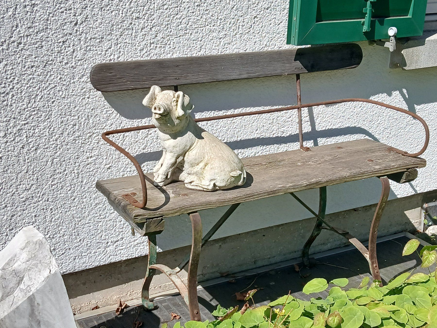 Sculture & Statue: Schwein Gartenskulptur gegossen – Usato da Zumikon venduto da Vollvintage