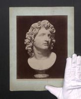 Fotografie Rom, Testa di Alessandro Magn