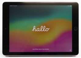 iPad 9.7" 2018 6th Generation (in gutem Zustand)