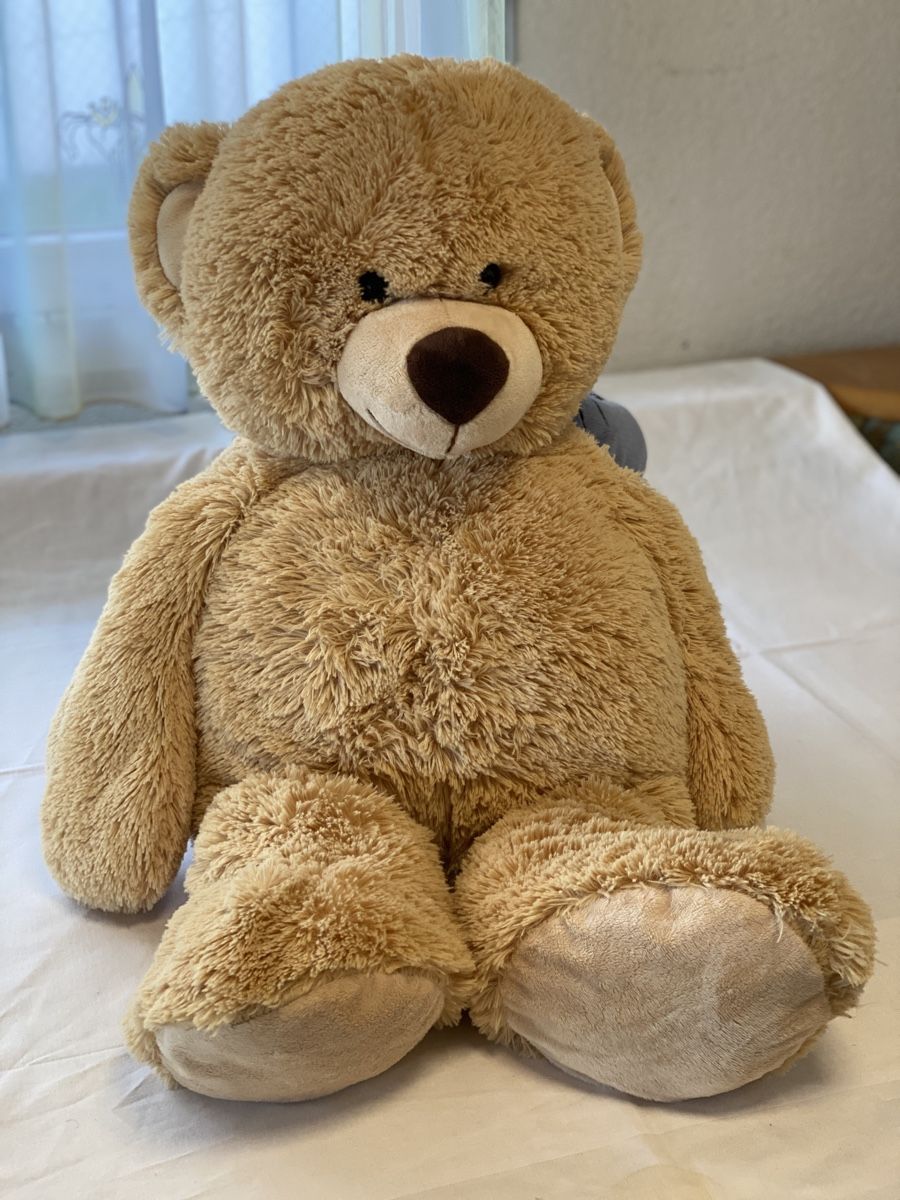 Giocattoli: Grosses Teddybär-Set, 10 Stk – Usato da Brütten venduto da Acutis2006 2