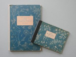 DIE TRAUMWIESE UND ALTE DEUTSCHE KINDERREIME