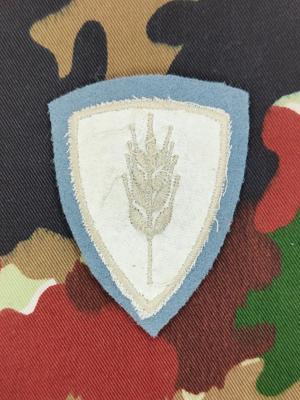 Schweizer Armee Placchette & Badge: Funktionsabzeichen Rechnungsführerin, Reproduktion – Usato da Bauma venduto da SwissMilitaria 1