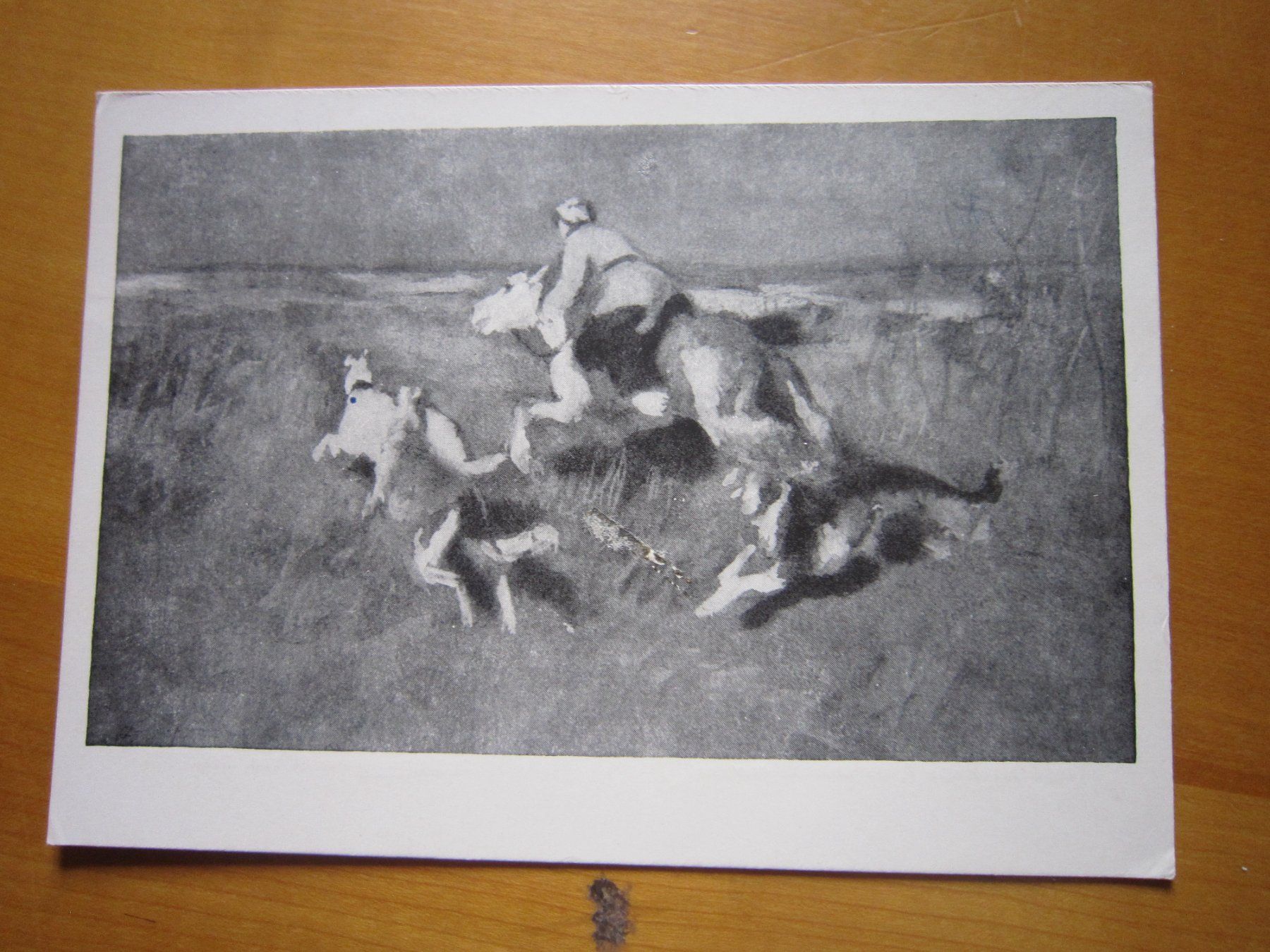 Cartoline postali: No 17 schöne Postkarte – Usato da Gordola venduto da Polentaefung