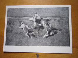 No 17 schöne Postkarte