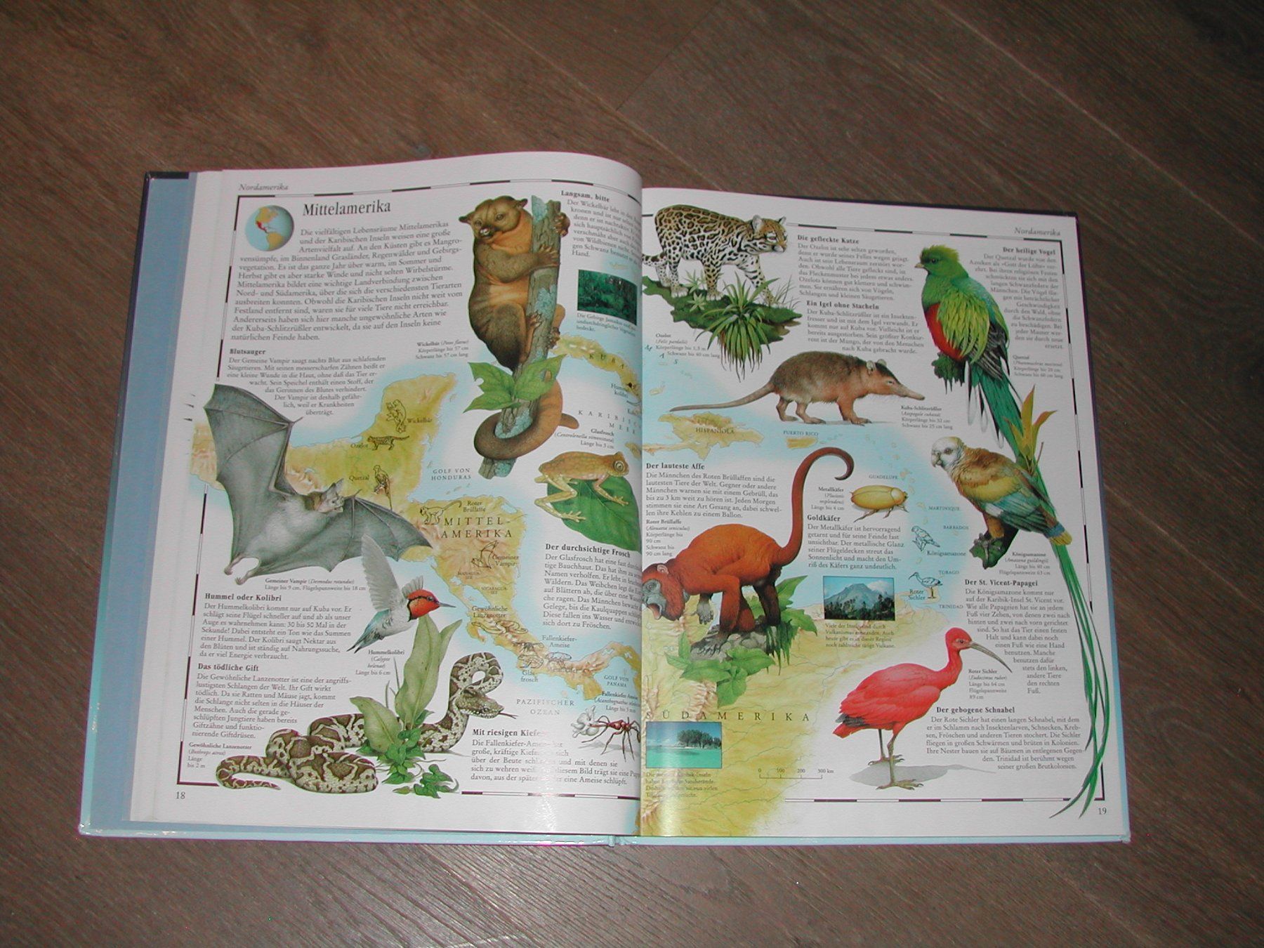 Libri: Bild Atlas der Tierwelt – Usato da Trun venduto da Romi066 4