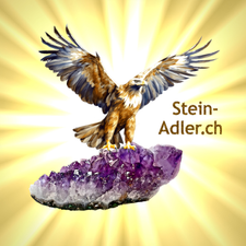 Profile image of Stein-Adler