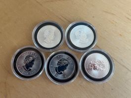 5 Canadian Maple Leaf Silbermünzen 2016 – 1 oz Feinsilber