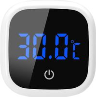 Aquarium Thermometer