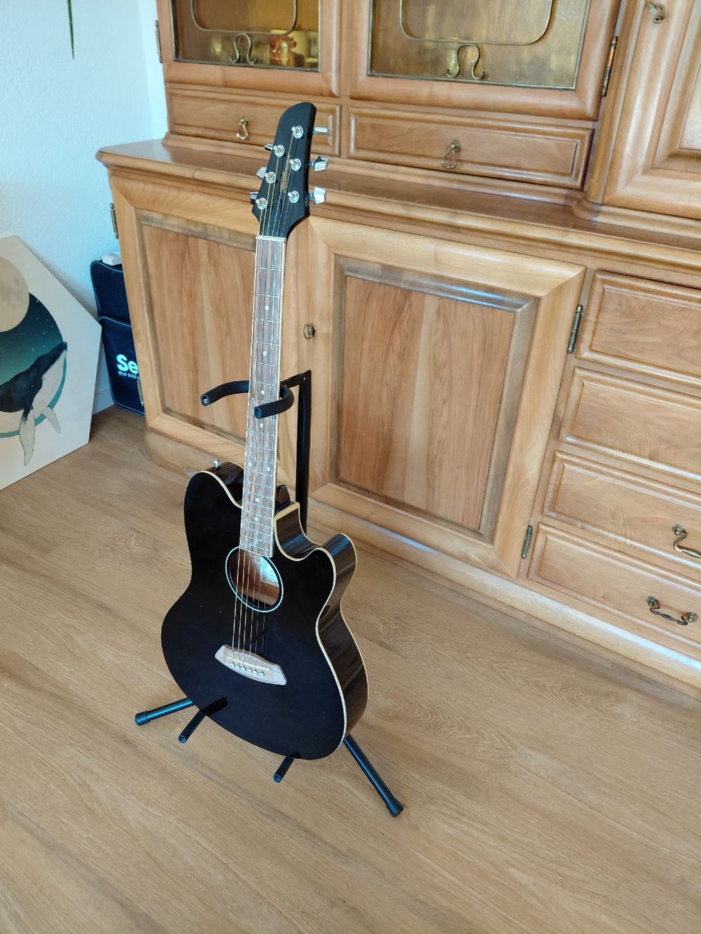 Ibanez Strumenti musicali: Ibanez Westerngitarre Rock! – Usato da St. Gallen venduto da rofsim 1
