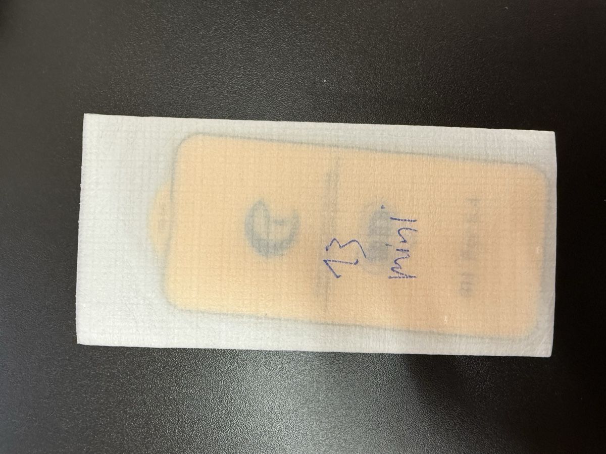 Gläser: Panzerglass für diverse iPhone – Neu (gemäss Beschreibung) aus Thun von ton_2fcg 6
